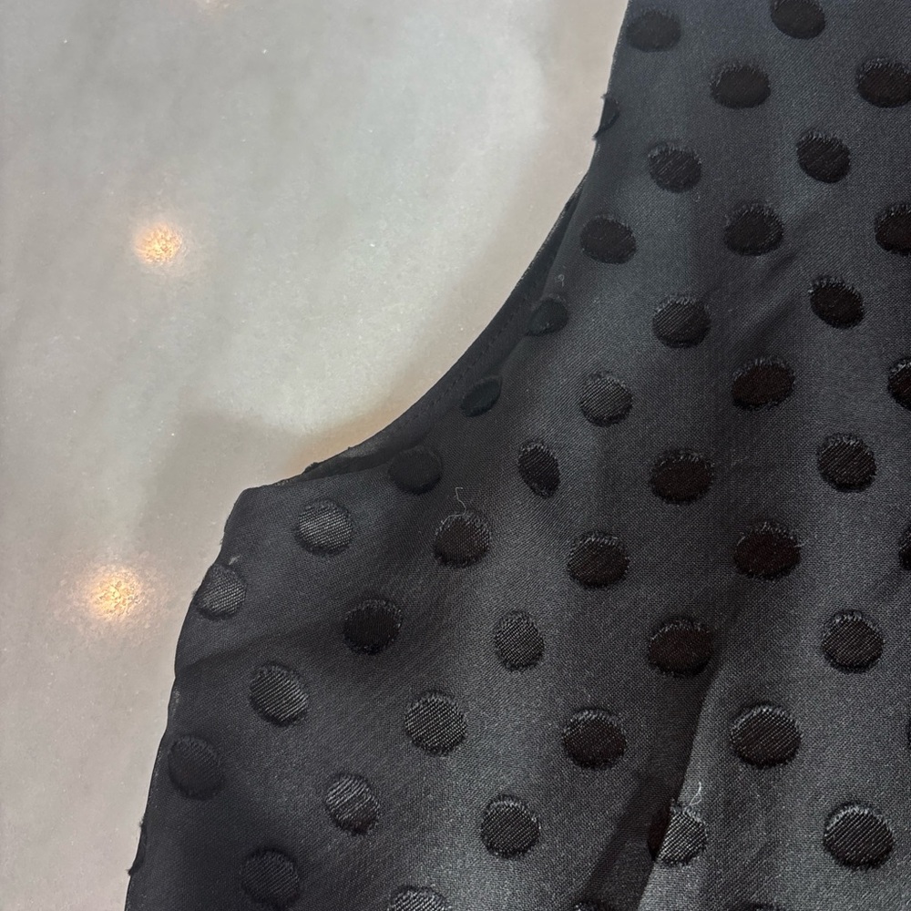 Ann Taylor Sheer Swiss Dot Ruffled Halter-Neck Top - Picture 12 of 16